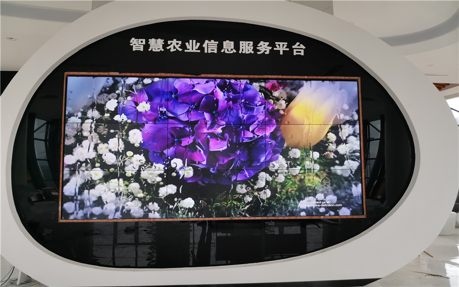 智慧農(nóng)業(yè)信息服務(wù)平臺(tái)